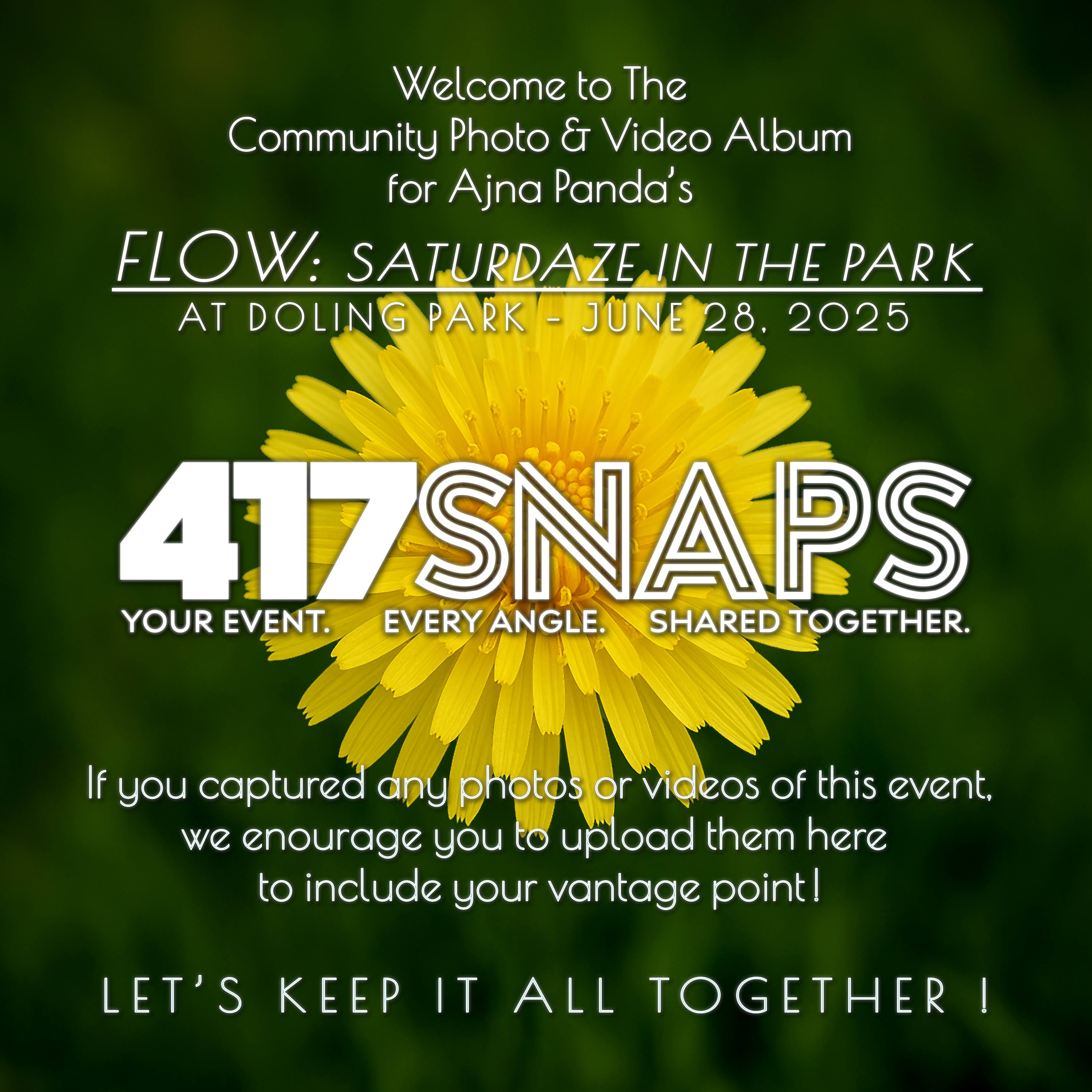 2025-06-28 - FLOW: Saturdaze At The Park (Ajna Panda Co) - Doling Park Pavilion cover